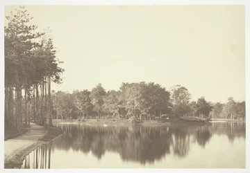 Ohne Titel, ca. 1850. [Bäume in der Nähe von Wasser im Bois de Boulogne, einem Park in Paris]