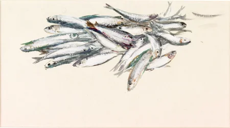 Studie von Fischen