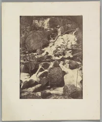 [Bäume und Wasserfälle]