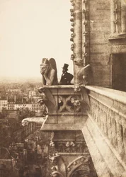Der Vampir