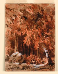 Im Wald