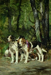 Ein Rudel Jagdhunde
