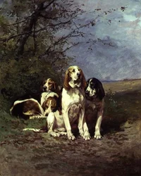 Ruhende Hunde