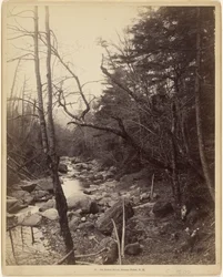Am Baker River, Breezy Point, N.H.