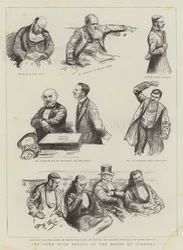 Die Home-Rule-Debatte im Unterhaus