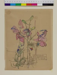 Rittersporn, 1914