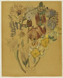 Mont Louis - Blumenstudie, 1925