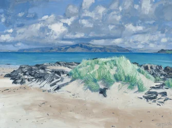 Felsen & Gräser, Iona, 2013