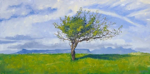 Westküstenbaum, 2015