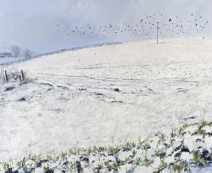Winterkrähen, 2012