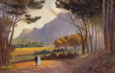 Kap-Halbinsel, Südafrika: Alphen