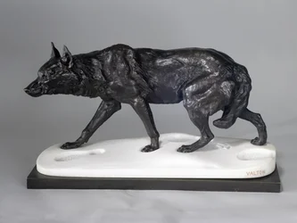 Wolfsspuren im Schnee