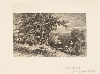 Landschaft mit umgestürztem Baum