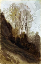 Bäume