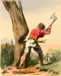Jack fällt die Bohnenranke