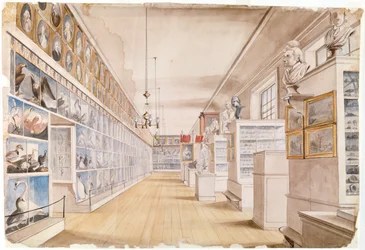 Der Lange Raum, Innenansicht des Vorderzimmers im Peales Museum, 1822