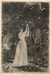 Eine junge Frau pflückt Blüten von einem Baum