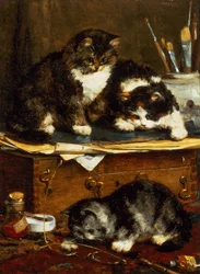 Das Atelier des Künstlers