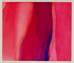 Sari Fisch, 2000