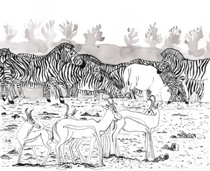 Safari 3, 2018