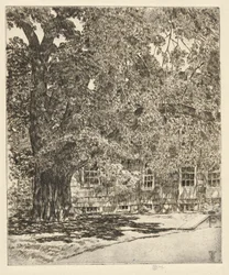Riesige Ulme, 1929