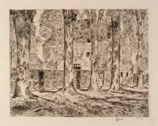 Die Dorfulmen, Easthampton