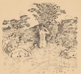 Der Wildkirschbaum