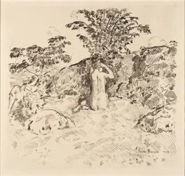 Wilder Kirschbaum