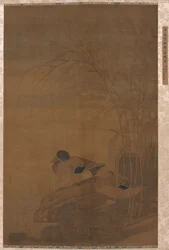 Enten unter Schilf