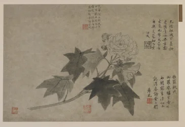 Ein Zweig Holzpfingstrose, möglicherweise Qing-Dynastie