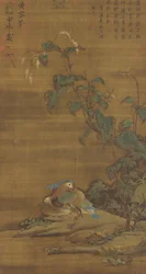 Mandarinenten unter Knöterich, Ming- oder Qing-Dynastie, 15.-18. Jahrhundert