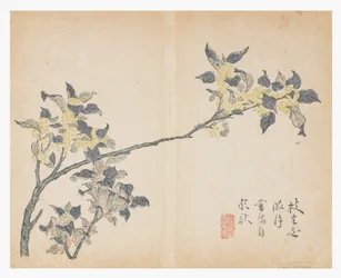 Garten der Senfsamen