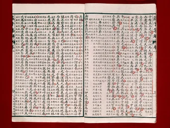 Seite aus einem Gedichtbuch von Chuang-Tzu