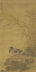 Zwei Enten zwischen Schilf am Wasser, Ming- oder Qing-Dynastie, 15.-18. Jahrhundert
