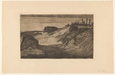 Dünenlandschaft