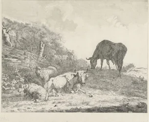 Landschaft mit Vieh