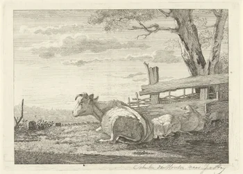 Ruhendes Vieh in einer Landschaft