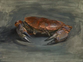 Krabbe, 2018