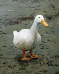 Gans