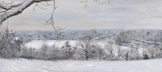 Weiße Diamanten Richmond Hill Schnee, 2015