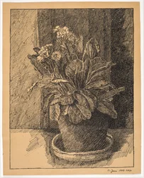Blumentopf mit Primel