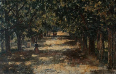 Kastanienallee nach Belvedere