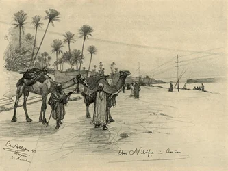 Kameltreiber am Ufer des Nils in Assuan, Ägypten, 1898