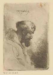 Hinabblickender Franziskaner