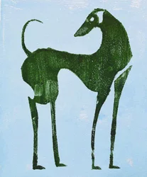 Eleganter Wüstenhund