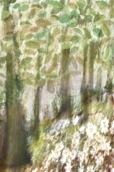 Träumige Waldblumen