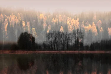 Nebelige Herbstreflexionen
