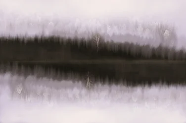 Neblige Birkenreflexion