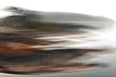 Nebliger Waldhorizont