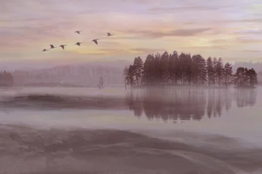 Nebliger See Vogel Flug